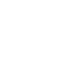 Asset Image